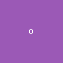 Omni Video Gen